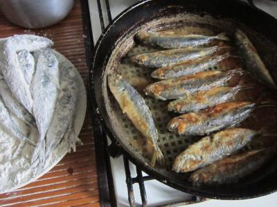 Прикрепленное изображение: IMG_0534.JPG